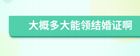 大概多大能領(lǐng)結(jié)婚證啊