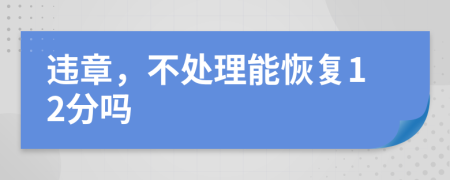 違章，不處理能恢復(fù)12分嗎