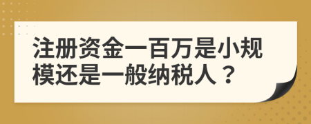注冊(cè)資金一百萬(wàn)是小規(guī)模還是一般納稅人？