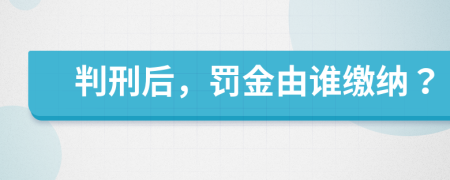 判刑后，罰金由誰繳納？