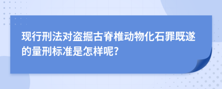現(xiàn)行刑法對盜掘古脊椎動物化石罪既遂的量刑標(biāo)準(zhǔn)是怎樣呢?