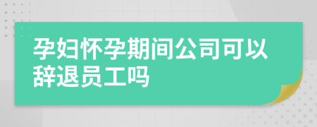 孕婦懷孕期間公司可以辭退員工嗎