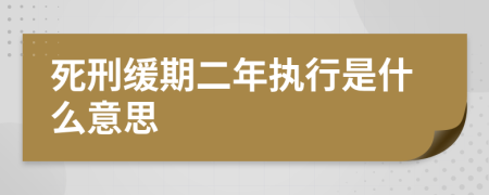 死刑緩期二年執(zhí)行是什么意思