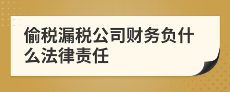 偷稅漏稅公司財(cái)務(wù)負(fù)什么法律責(zé)任