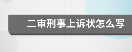 二審刑事上訴狀怎么寫