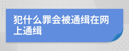 犯什么罪會被通緝在網(wǎng)上通緝