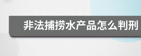 非法捕撈水產(chǎn)品怎么判刑