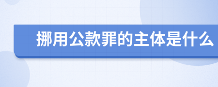 挪用公款罪的主體是什么