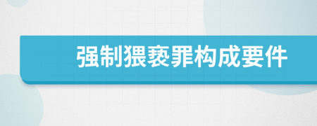 強(qiáng)制猥褻罪構(gòu)成要件