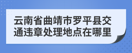 云南省曲靖市羅平縣交通違章處理地點(diǎn)在哪里