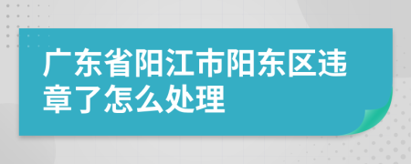 廣東省陽江市陽東區(qū)違章了怎么處理
