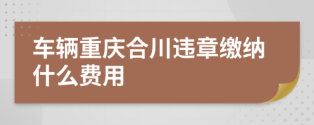 車輛重慶合川違章繳納什么費用