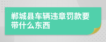 鄲城縣車輛違章罰款要帶什么東西