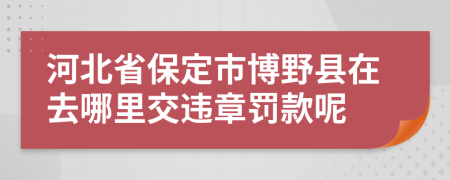 河北省保定市博野縣在去哪里交違章罰款呢
