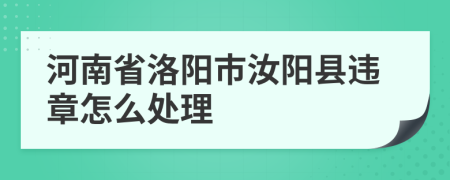 河南省洛陽市汝陽縣違章怎么處理