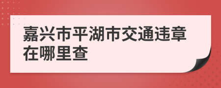 嘉興市平湖市交通違章在哪里查