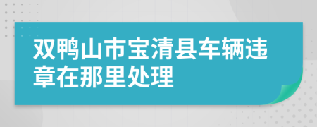 雙鴨山市寶清縣車(chē)輛違章在那里處理