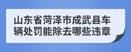 山東省菏澤市成武縣車輛處罰能除去哪些違章