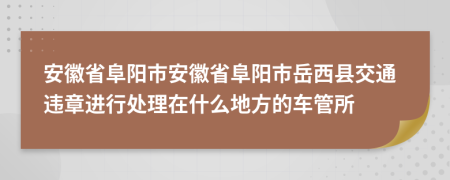 安徽省阜陽市安徽省阜陽市岳西縣交通違章進(jìn)行處理在什么地方的車管所