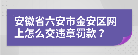 安徽省六安市金安區(qū)網(wǎng)上怎么交違章罰款?