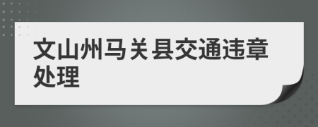 文山州馬關(guān)縣交通違章處理