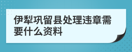 伊犁鞏留縣處理違章需要什么資料