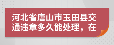 河北省唐山市玉田縣交通違章多久能處理，在