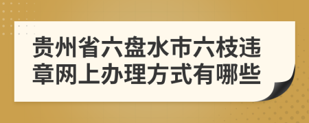 貴州省六盤水市六枝違章網(wǎng)上辦理方式有哪些