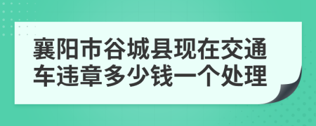 襄陽市谷城縣現(xiàn)在交通車違章多少錢一個處理