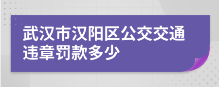 武漢市漢陽區(qū)公交交通違章罰款多少