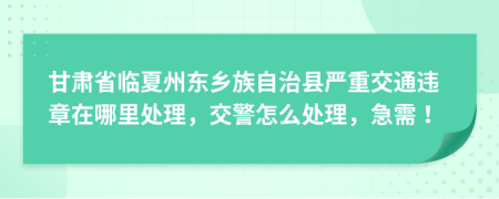 甘肅省臨夏州東鄉(xiāng)族自治縣嚴重交通違章在哪里處理，交警怎么處理，急需！