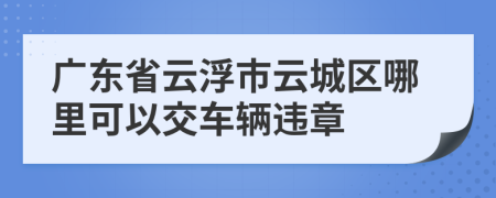廣東省云浮市云城區(qū)哪里可以交車輛違章