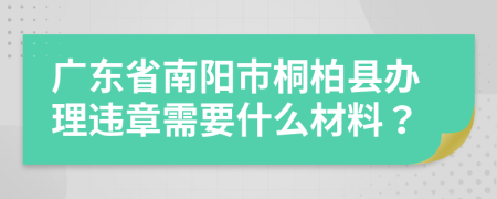 廣東省南陽市桐柏縣辦理違章需要什么材料？