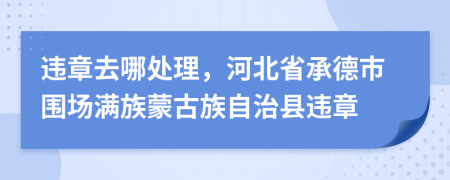違章去哪處理，河北省承德市圍場滿族蒙古族自治縣違章