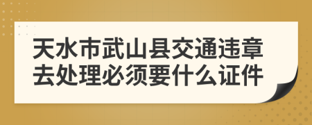 天水市武山縣交通違章去處理必須要什么證件