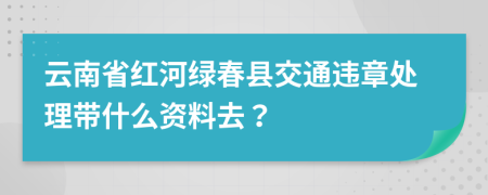 云南省紅河綠春縣交通違章處理帶什么資料去？