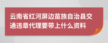 云南省紅河屏邊苗族自治縣交通違章代理要帶上什么資料