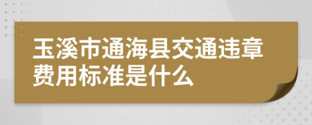 玉溪市通海縣交通違章費用標準是什么