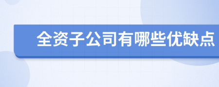 全資子公司有哪些優(yōu)缺點(diǎn)