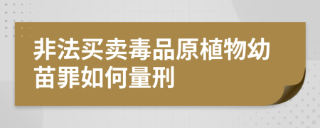 非法買賣毒品原植物幼苗罪如何量刑
