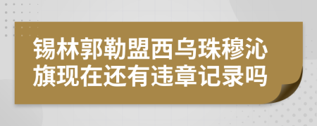 錫林郭勒盟西烏珠穆沁旗現(xiàn)在還有違章記錄嗎