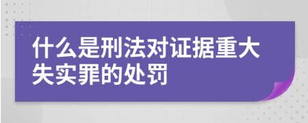 什么是刑法對(duì)證據(jù)重大失實(shí)罪的處罰