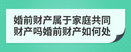 婚前財產(chǎn)屬于家庭共同財產(chǎn)嗎婚前財產(chǎn)如何處