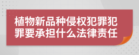 植物新品種侵權(quán)犯罪犯罪要承擔(dān)什么法律責(zé)任