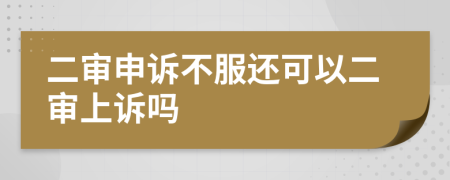 二審申訴不服還可以二審上訴嗎