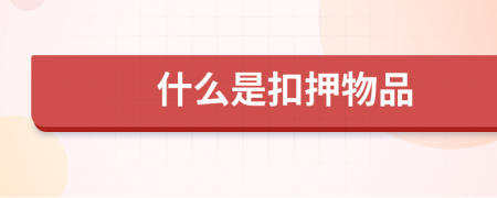 什么是扣押物品