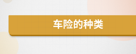 車險(xiǎn)的種類