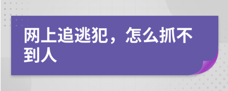 網(wǎng)上追逃犯，怎么抓不到人