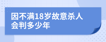 因不滿18歲故意殺人會判多少年