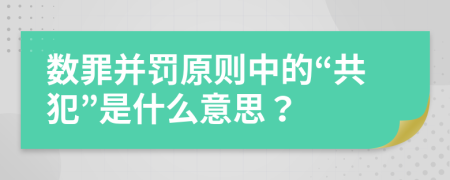數(shù)罪并罰原則中的“共犯”是什么意思？